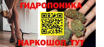 скорость Камень-на-Оби