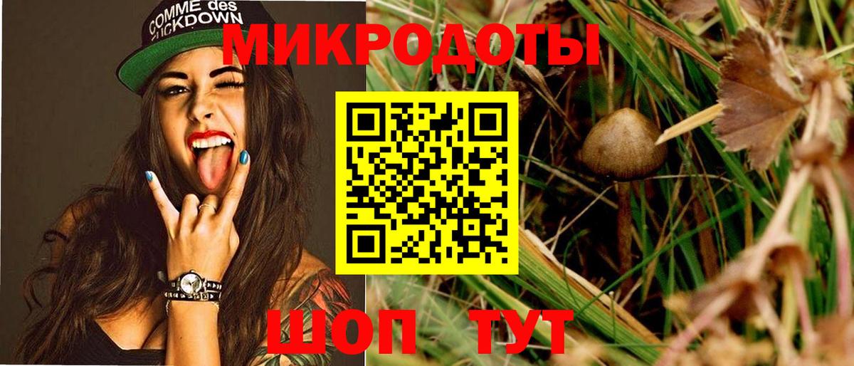 Галлюциногенные грибы GOLDEN TEACHER Хасавюрт