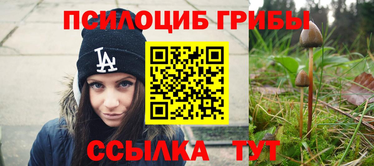 наркота  Вход с VPN  Хасавюрт  Галлюциногенные грибы GOLDEN TEACHER 